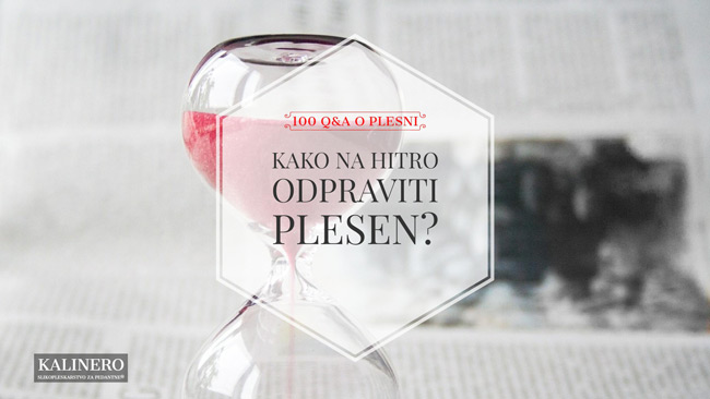 Kako na hitro odpraviti plesen