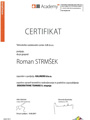 strmsek jub akademija